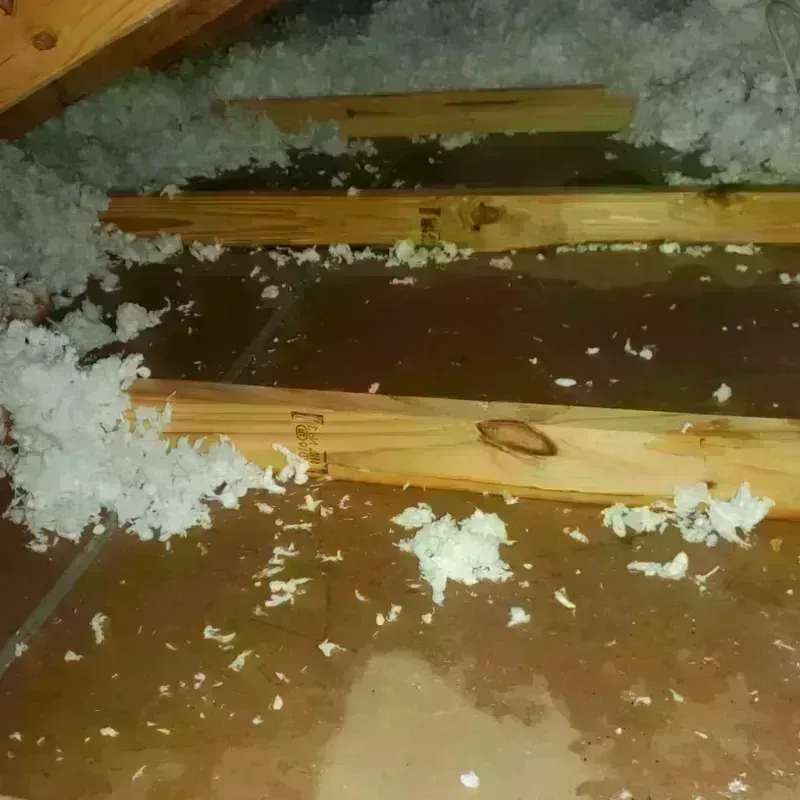 Attic Water Damage in Brady, TX