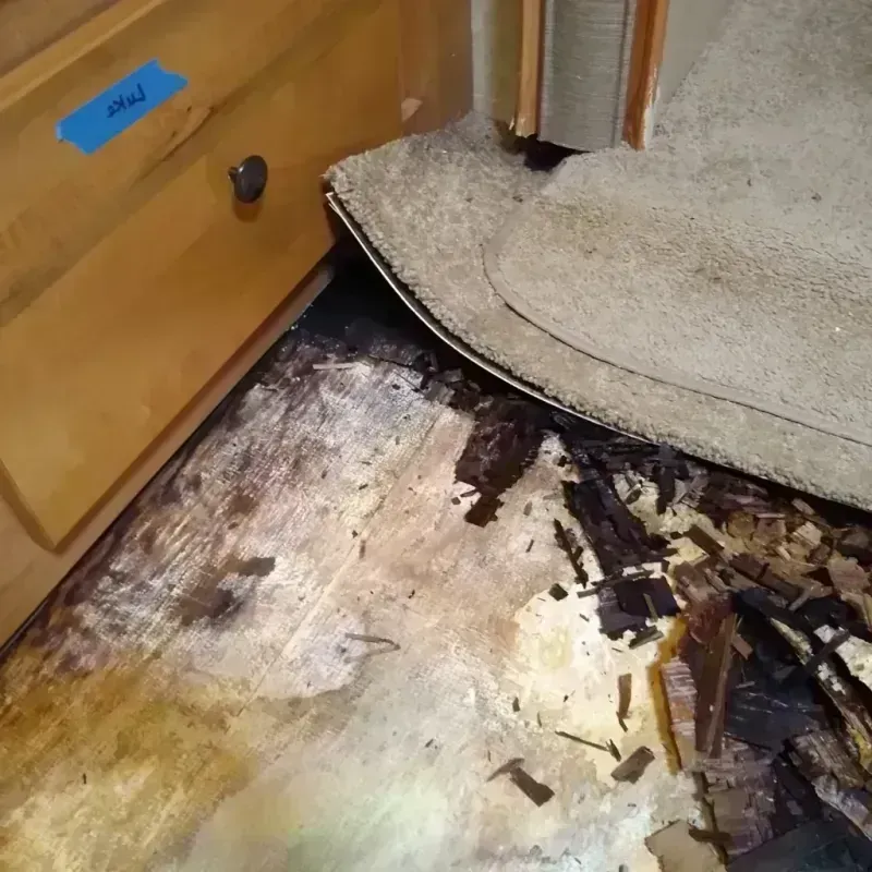 Wood Floor Water Damage in Brady, TX